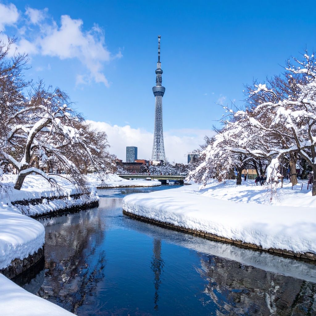 北海道札幌市の美しい風景、大通公園とテレビ塔、雪景色または緑豊かな夏の街並み、青空と都市の調和